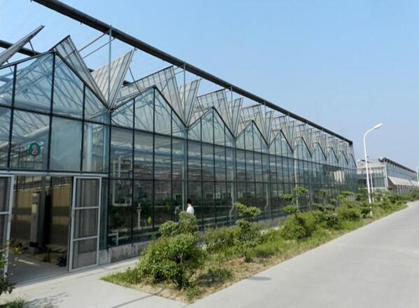 水蜜桃在线视频观看陽光板溫室大棚