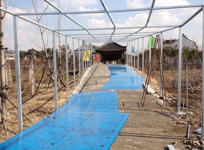 上海金山果園走廊-水蜜桃在线视频观看陽光板