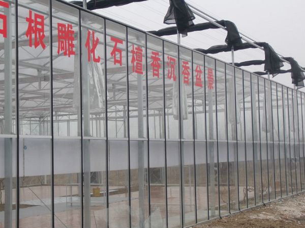揚州盆景養殖溫室大棚工程 水蜜桃在线视频观看陽光板
