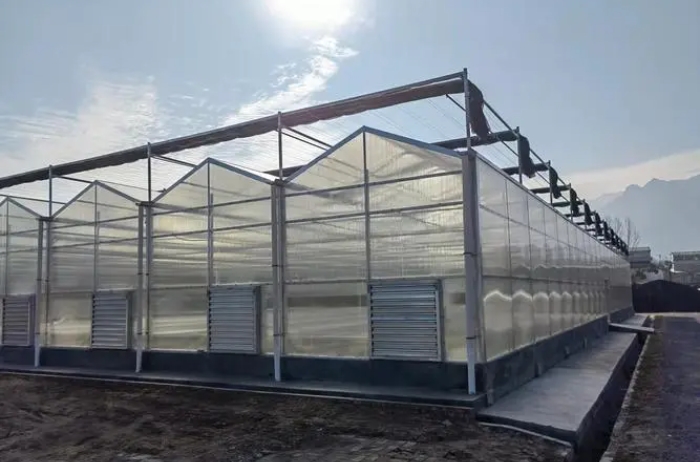 水蜜桃在线视频观看陽光板的使用場合和應用場景